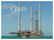 CHEMICAL AND PETROCHEMICAL INDUSTRY PURE GUM